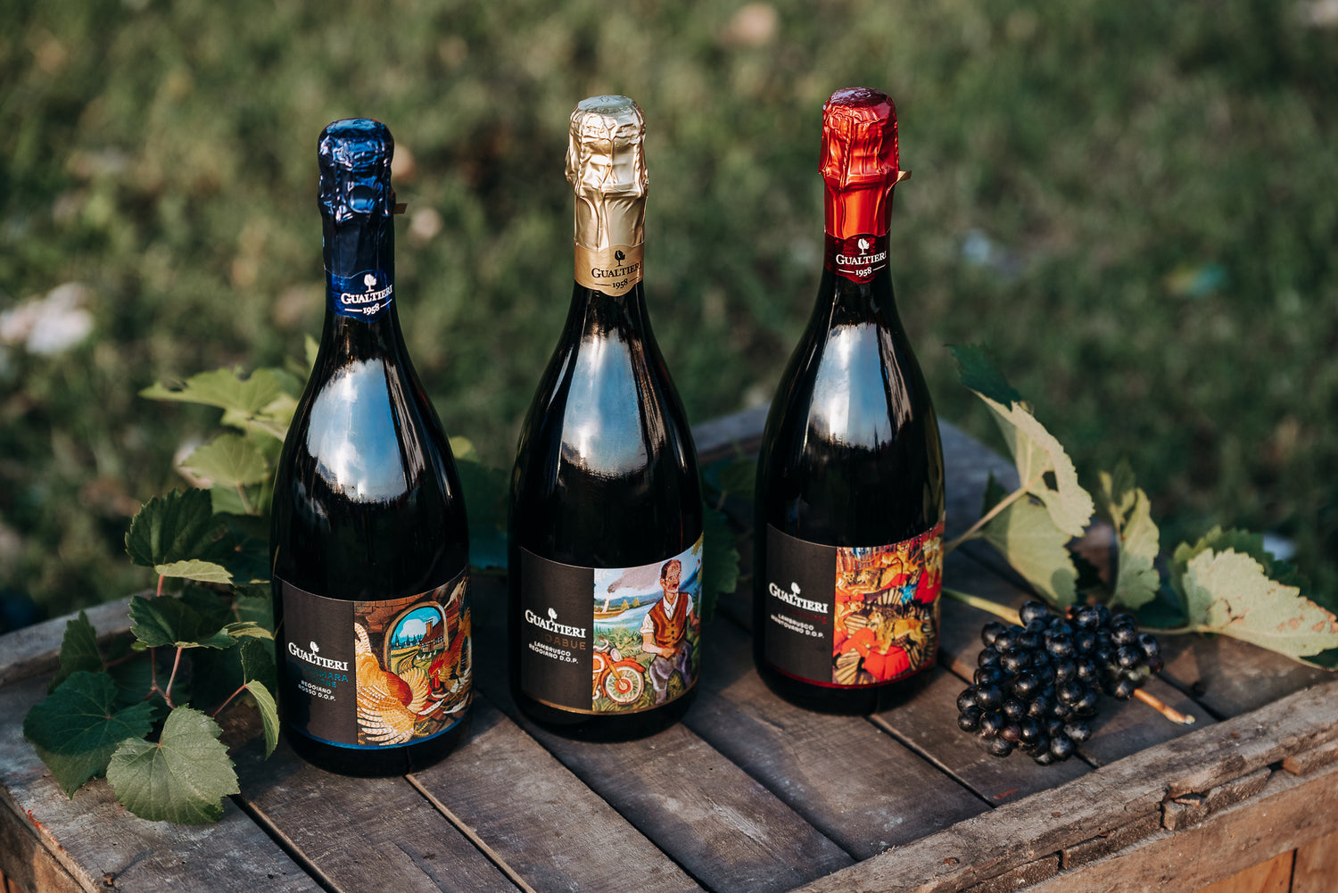 Novità: Cantina Gualtieri Linea Selezione D.O.P.