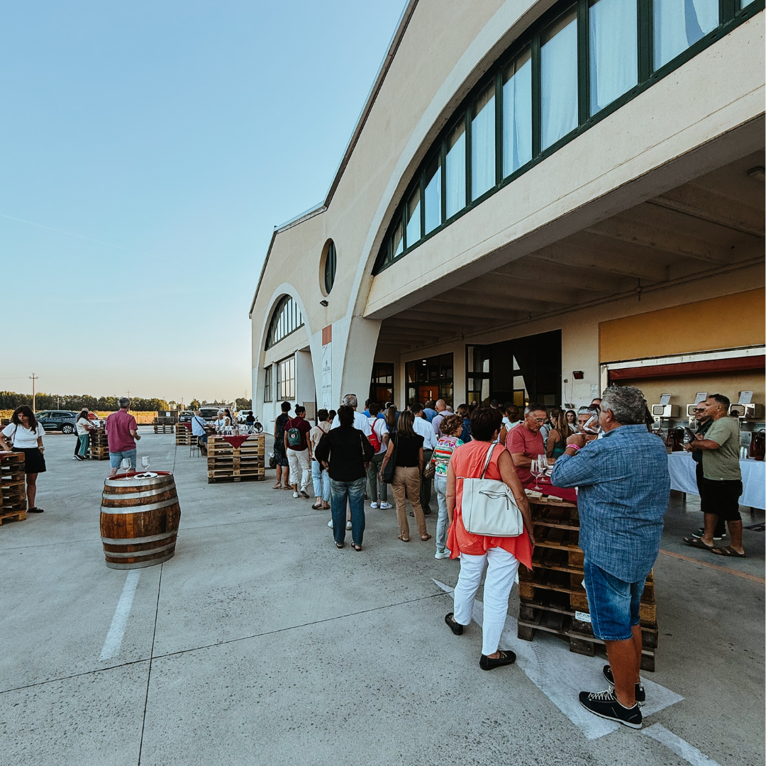 Viaggio a Gualtieri — Visita e degustazione