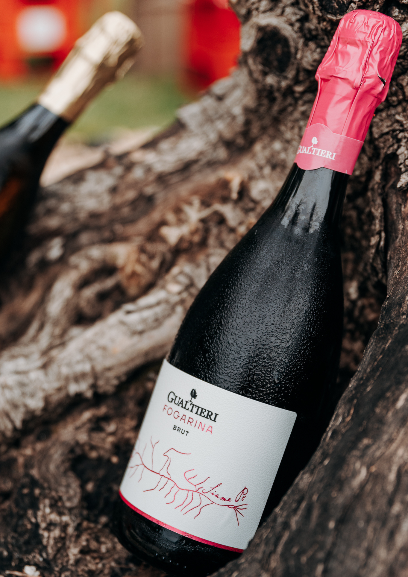 Fogarina Rosè - Spumante Brut