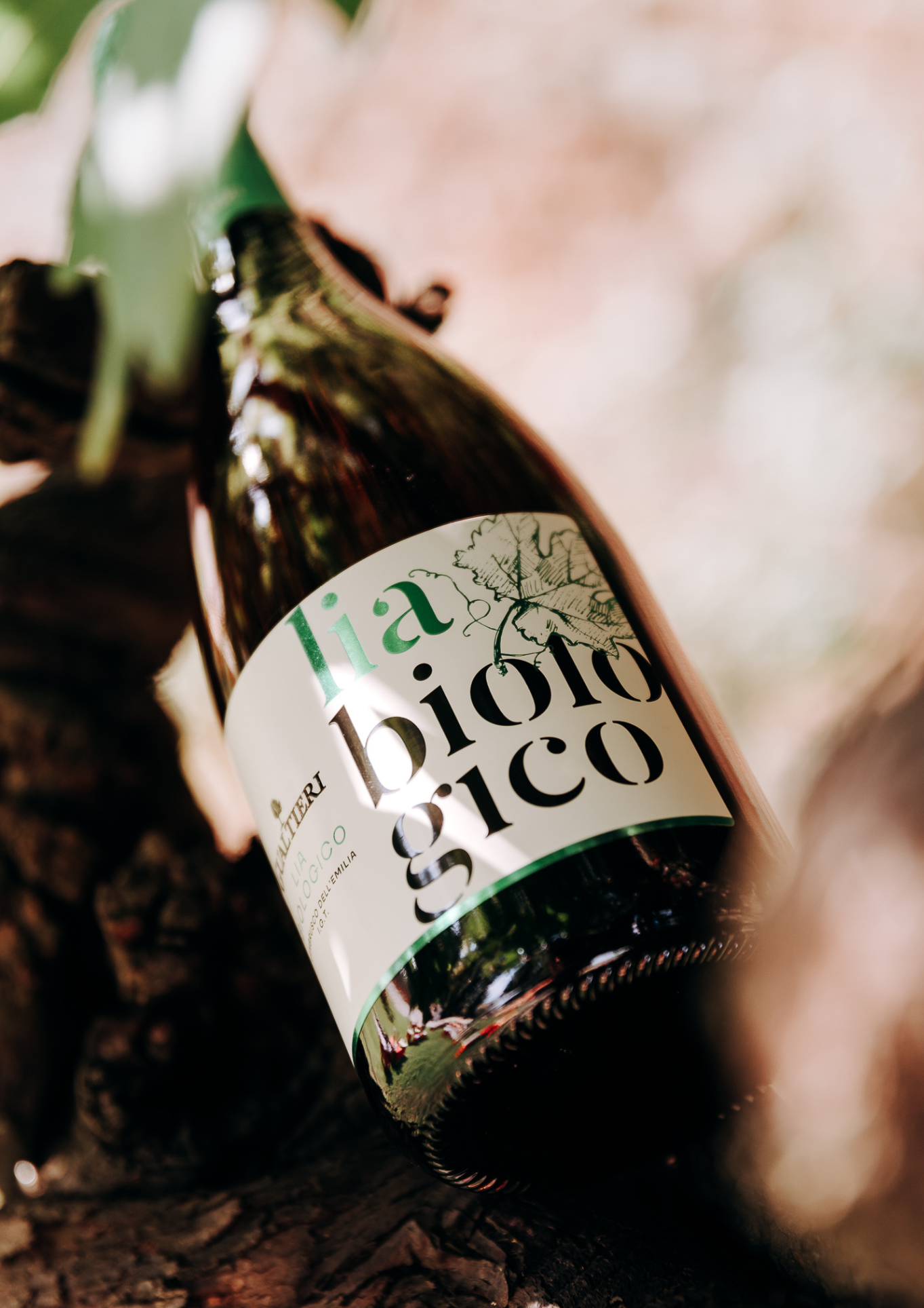 Lia Lambrusco Rosè Bio