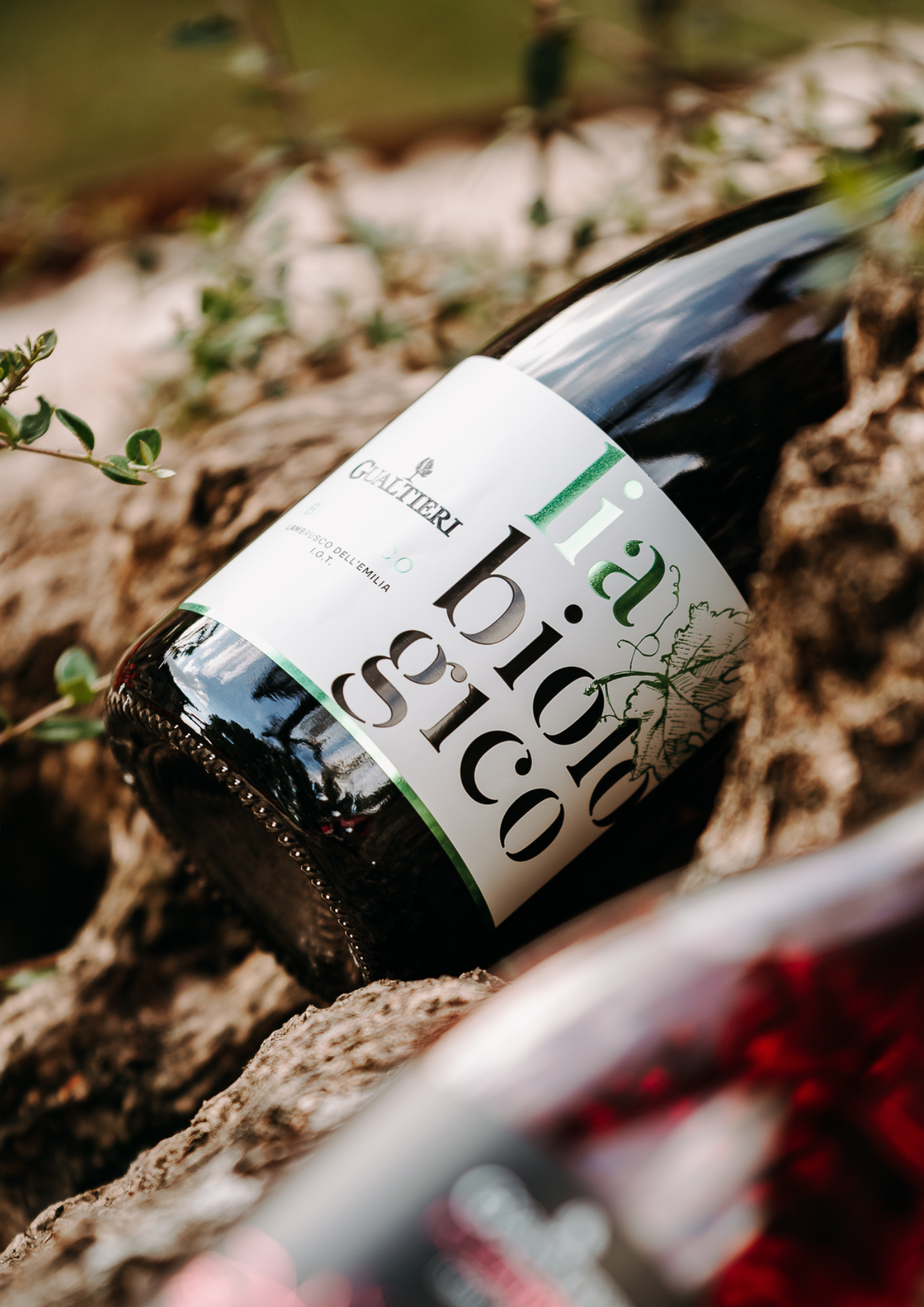 Lia Lambrusco Rosè Bio