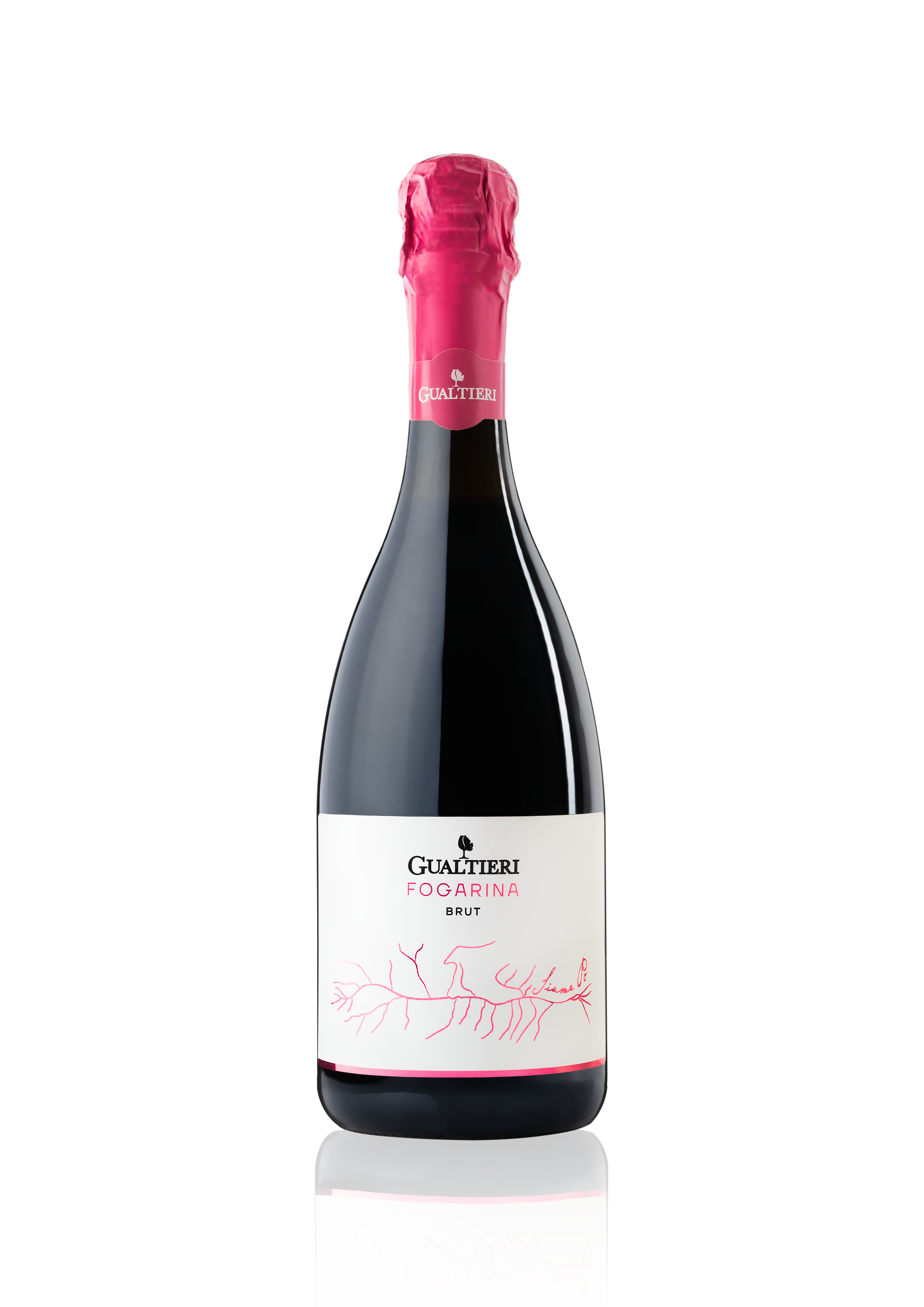 Fogarina Rosè - Spumante Brut
