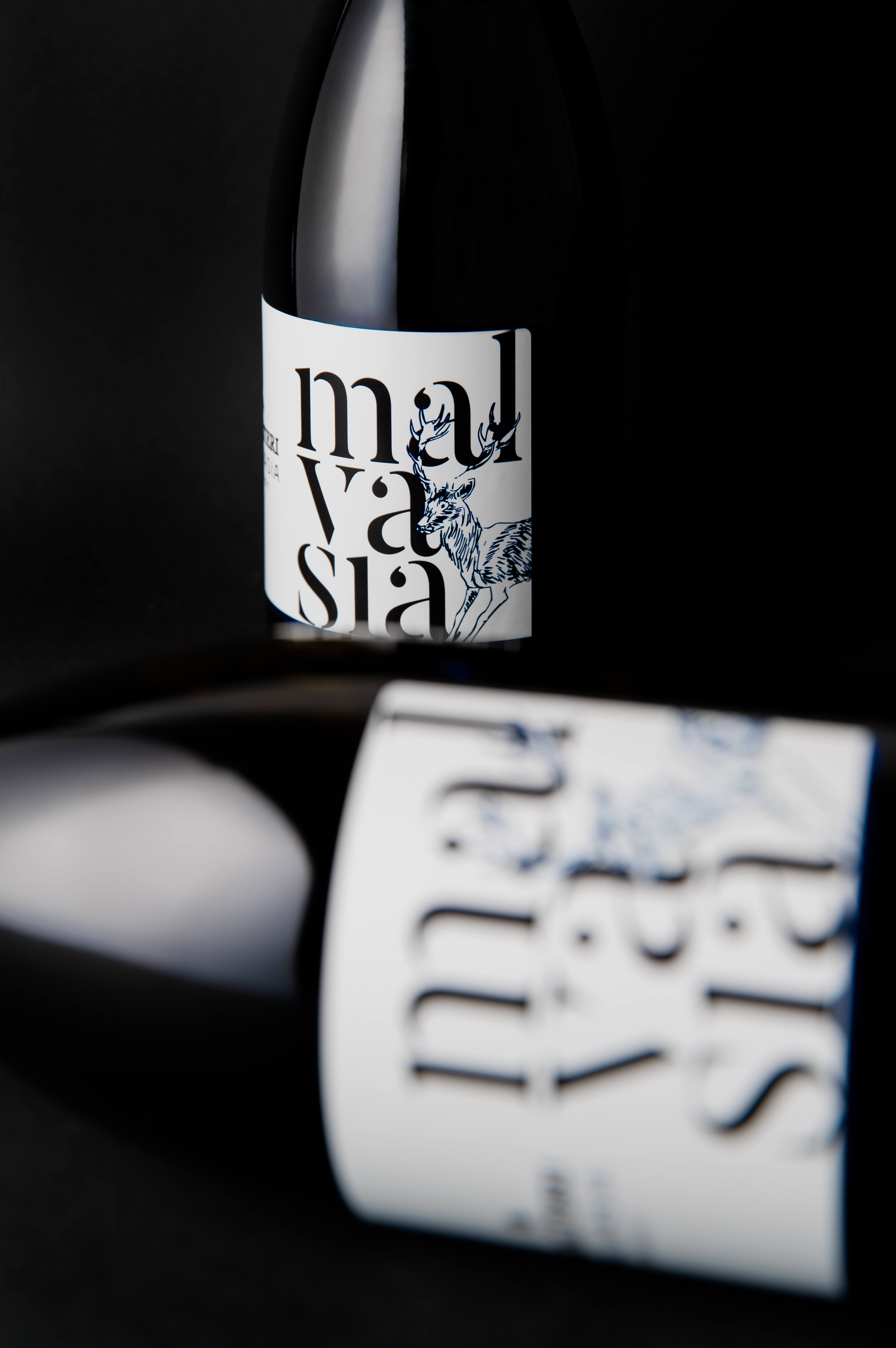 Malvasia dell'Emilia I.G.T.