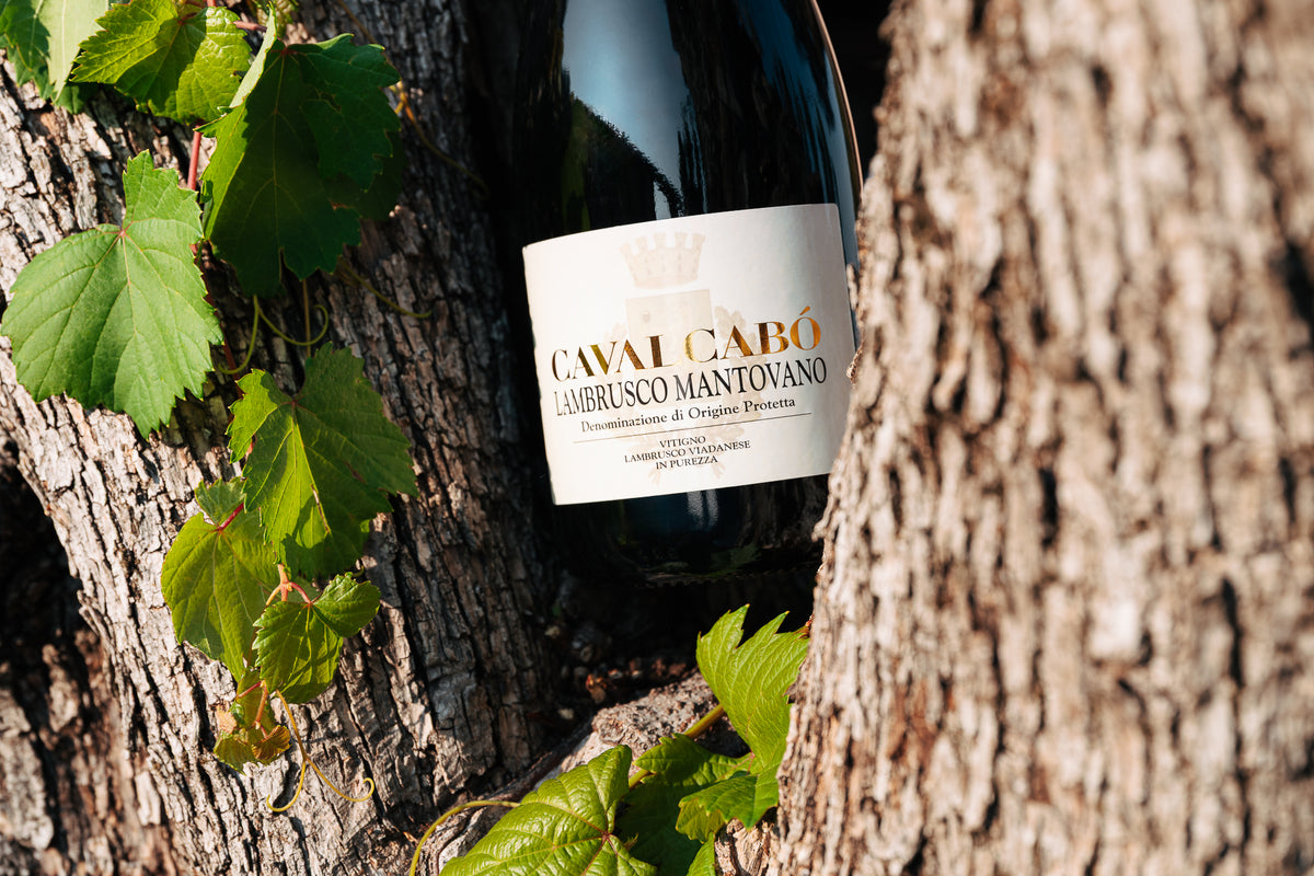Cavalcabò Lambrusco Mantovano D.O.P