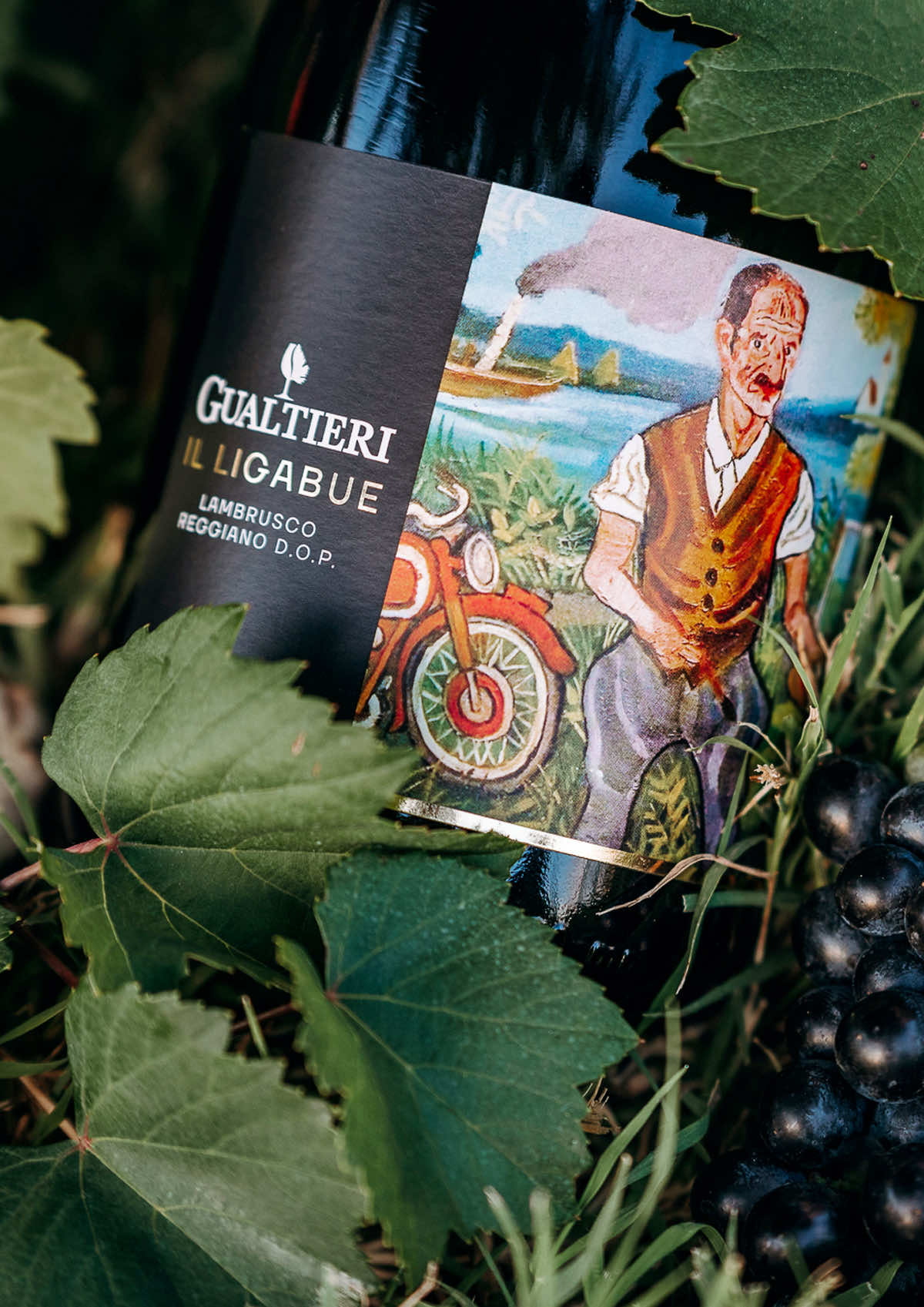 Cantina Gualtieri Lambrusco Il Ligabue Vino Frizzante Secco Migliore lambrusco