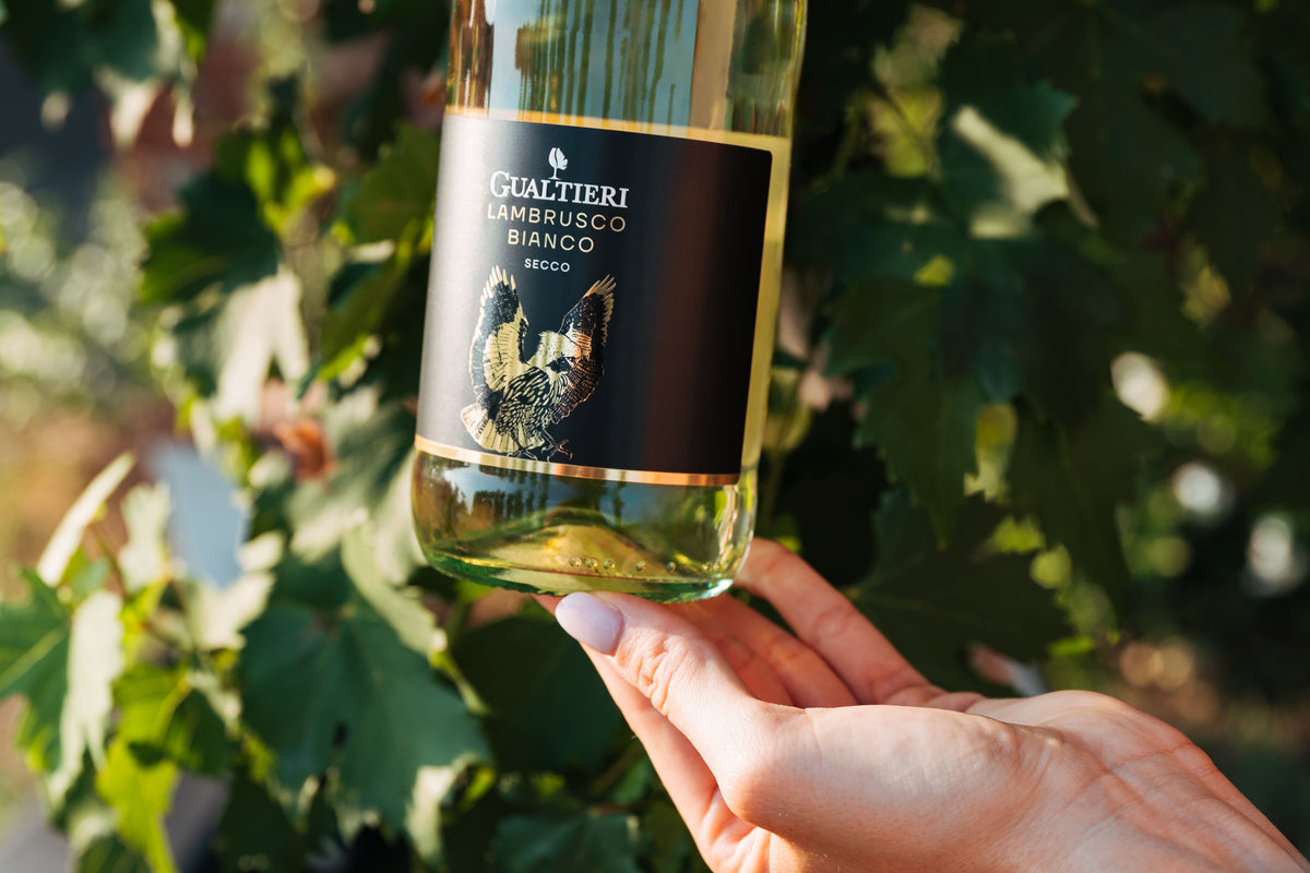 Lambrusco Bianco Secco I.G.T.