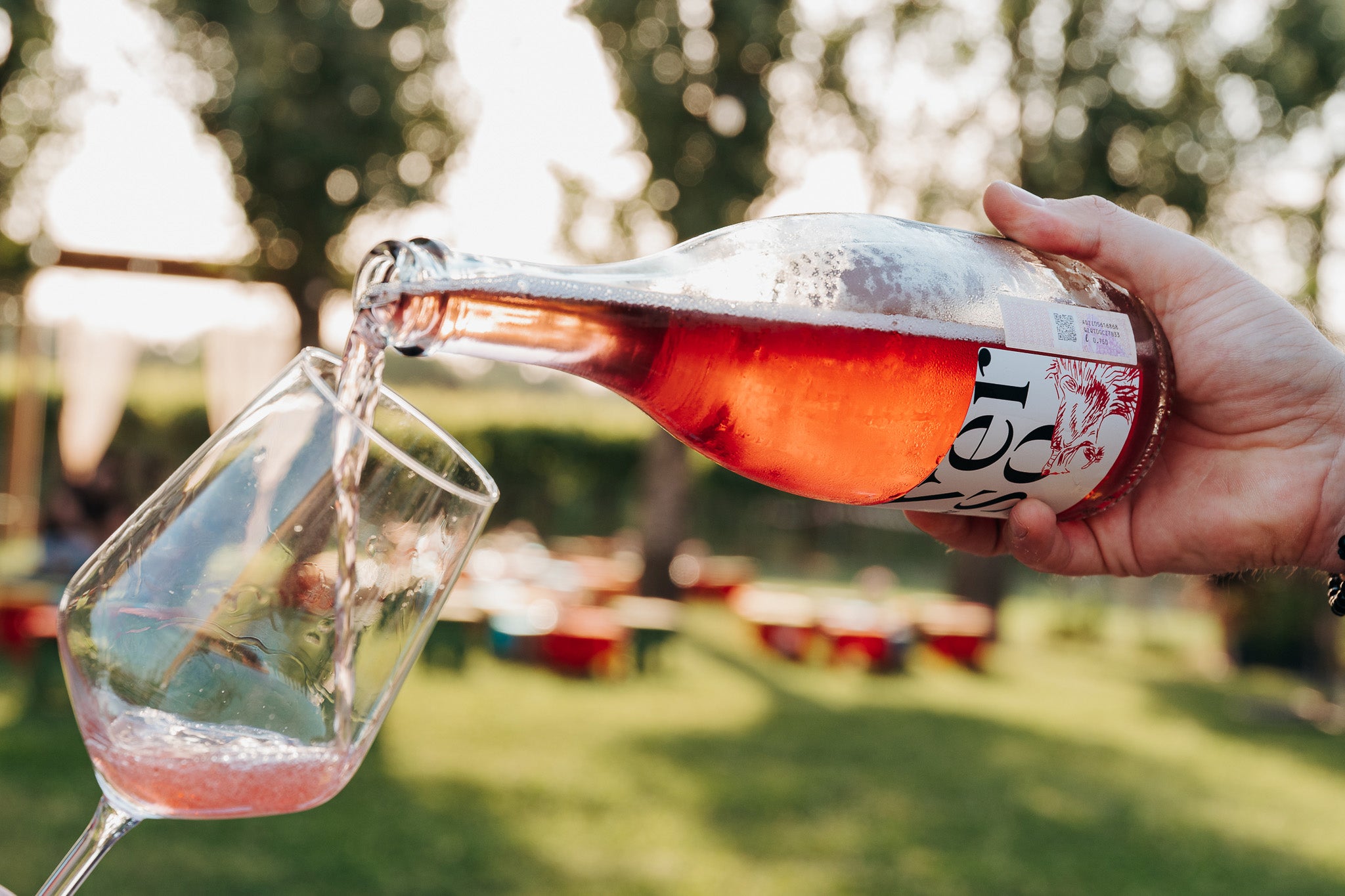 VERSO — Lambrusco Rifermentato in Bottiglia Rosè