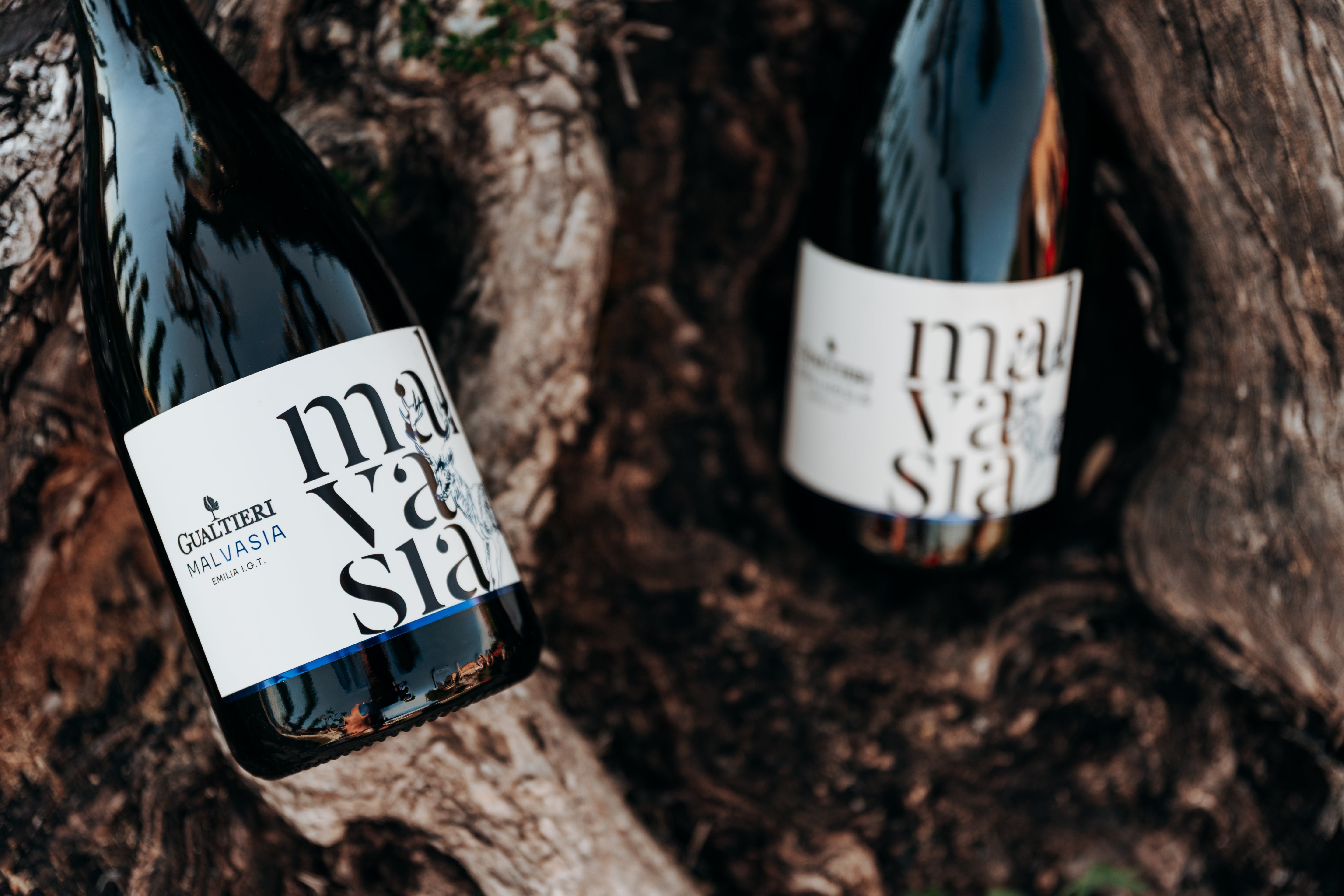 Malvasia dell'Emilia I.G.T.