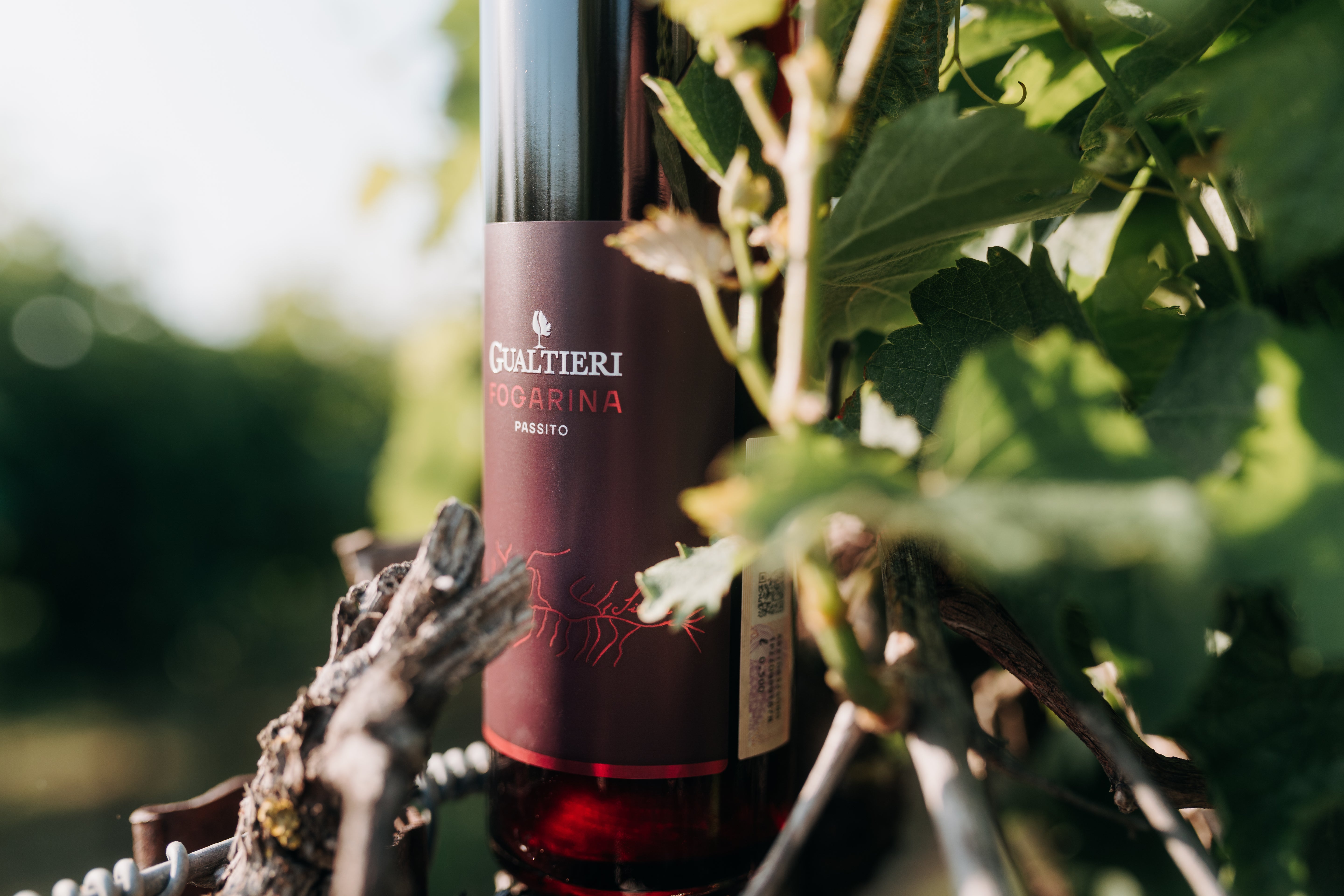 Fogarina Passito