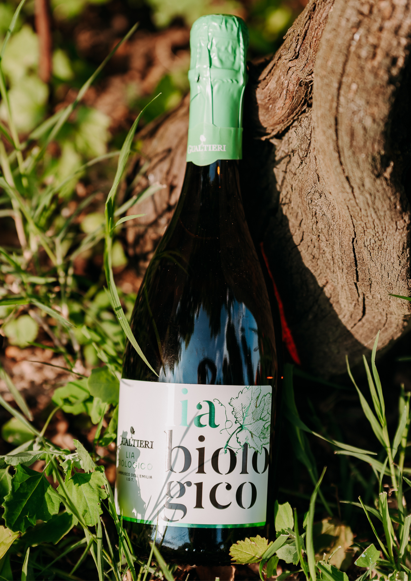Lia Lambrusco Rosè Bio