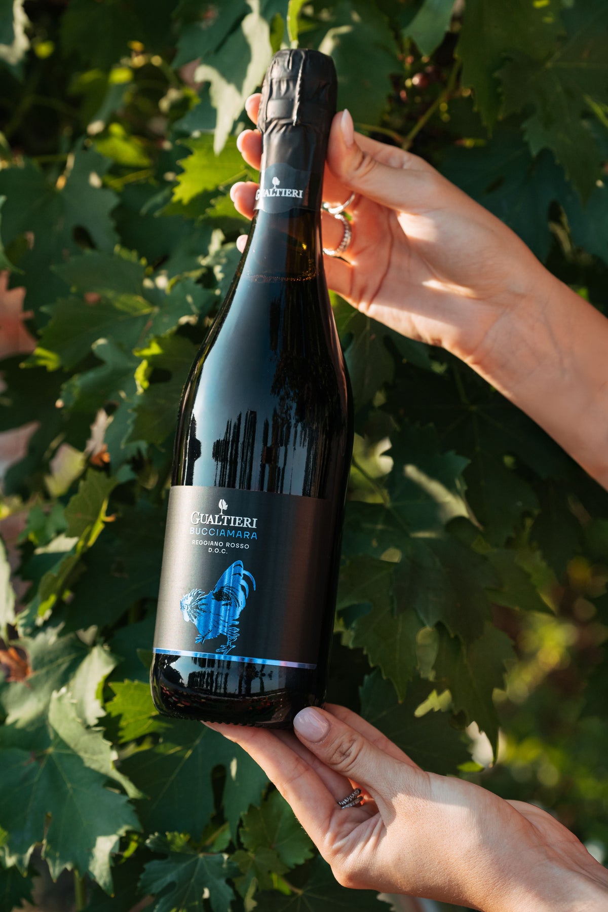 Bucciamara Reggiano Rosso D.O.C.