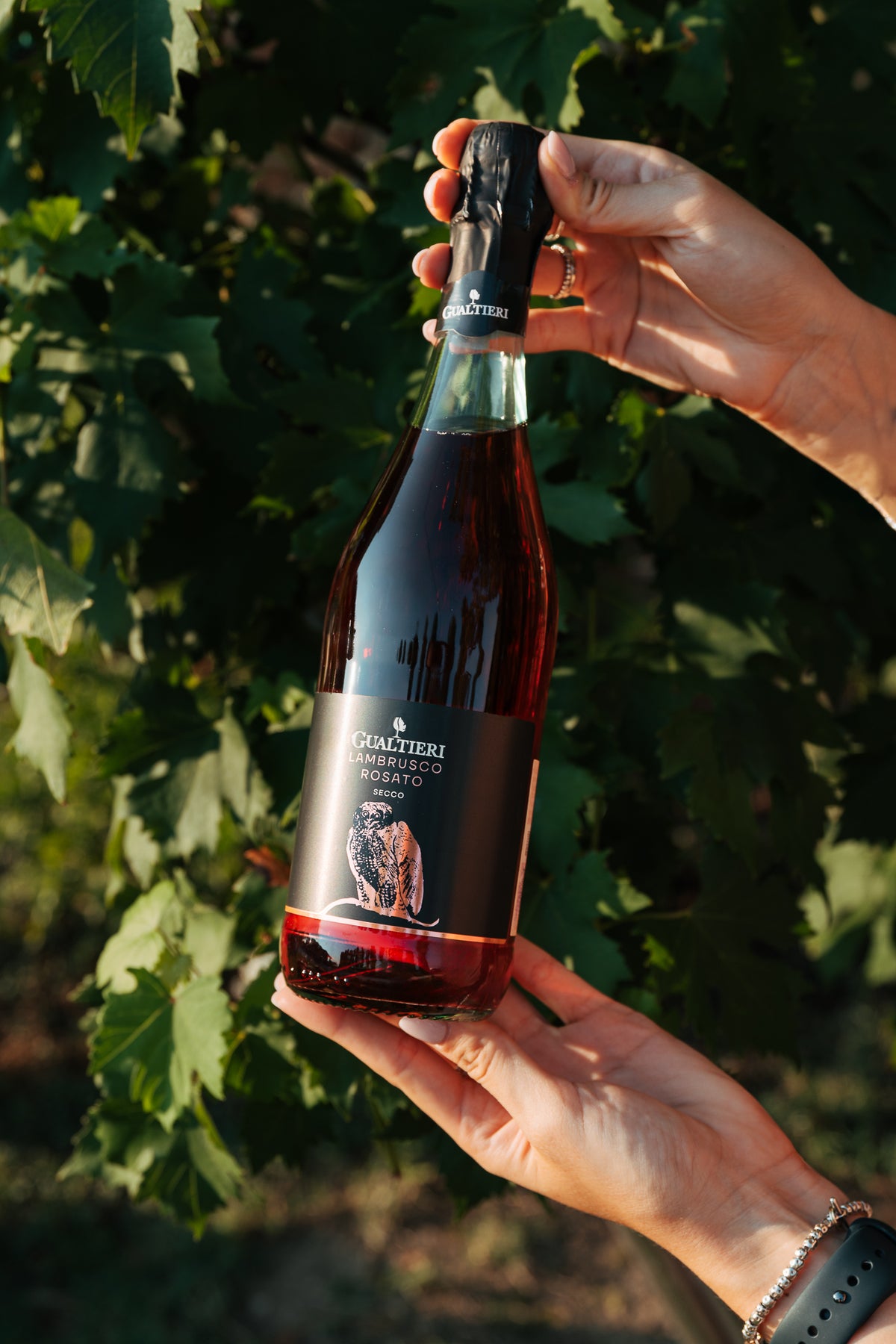 Lambrusco Rosato Secco I.G.T.